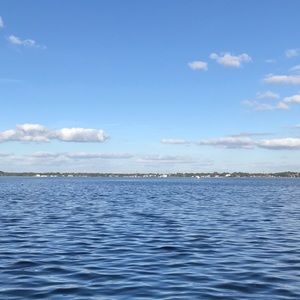 Meet your Posher, Ella